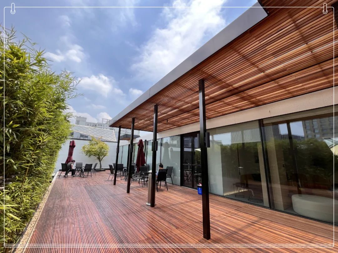 1687672002518011293.jpg 1687672002518011293.jpg